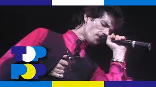 Mink DeVille  Stand By Me Live 1985 • TopPop [upl. by Yrtneg986]