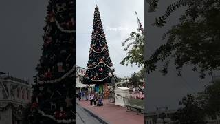 The happiest season at the happiest place on Earth christmas disneyworld magicalkingdom newyear [upl. by Pohsib]