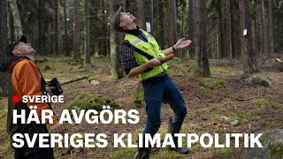 Skogen fångar mindre koldioxid – kan ge högre bensinpris [upl. by Cann]