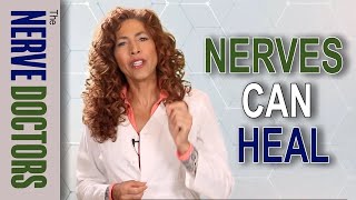 Research Reveals Nerves Can Heal The Nerve Doctors [upl. by Ricardo523]