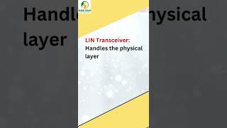 Component in LIN Protocol Network linprotocol network local protocol automotive pythoncourse [upl. by Corell]