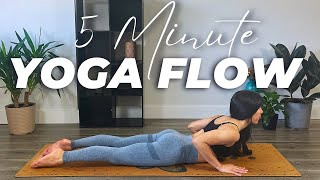 5 Minute Gentle Yoga Flow for Busy Days All Levels [upl. by Marolda44]