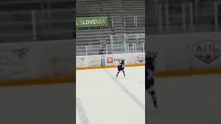 Select Team Germany🇩🇪 vs 🇦🇹EC VSV  💣💣2x schlafen gelegt eishockeyicehockey хоккей [upl. by Brucie]