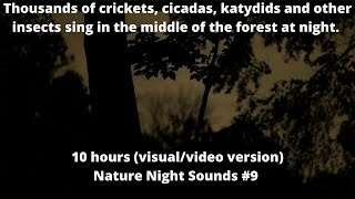 Thousands of crickets cicadas katydids dark forest visual cricket sounds sleep sounds white noise [upl. by Encratia]