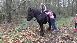 My Belgian Draft Horse and my Grandchildren [upl. by Columbine173]