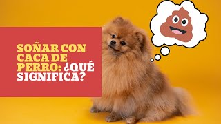 💩 SOÑAR con CACA de PERRO ¿qué significa [upl. by Anika199]