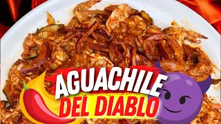 casi muero con el RETO AGUACHILE del Diablo ☠️ [upl. by Uehttam7]