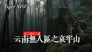 2024令人畏懼的無人區“哀牢山之謎”完整版始末 [upl. by Adikam]