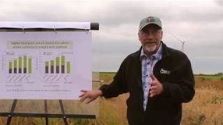 Camelina  An Oilseed Cash Cover Crop [upl. by Noiram]