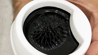 How to Make Ferrofluid at Home [upl. by Giff282]