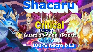 Shacaru 100 Nb12 Team Midgame progression summoners war [upl. by Delastre]