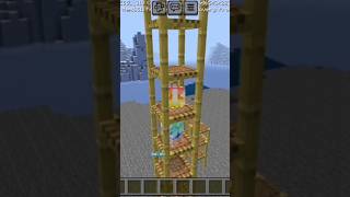 Why No One Uses Scaffolding In MINECRAFT gaming minecraft [upl. by Gabi]