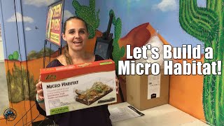 How To Set Up a Zilla Micro Habitat with Stephanie [upl. by Tenom]