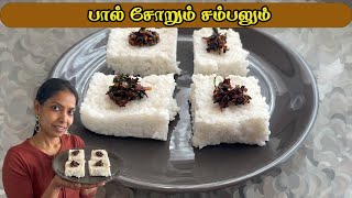 இலங்கையின் சிங்களவர்களின் பாரம்பரிய பால் சோறும் சம்பலும்Kiri Bath bindusfamilyfoodtasting [upl. by Clarey]