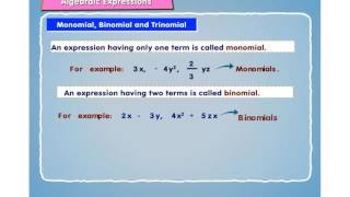 Monomial Binomial and Trinomial [upl. by Salohci]