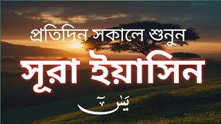 Surah Yasin । reaction of Surah Yasin । quran tilawat । quran । sundor tilawat [upl. by Pru900]