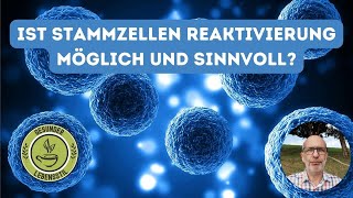 Ist Stammzellen Reaktivierung möglich und sinnvoll [upl. by Stander78]