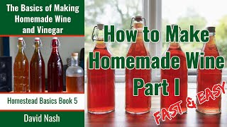 How to Make Homemade Wine  Fast Easy And Cheap Wine  Perfect for Beginners  Part I [upl. by Gretchen]