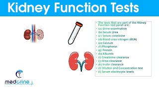 Kidney Function Tests and Interpretation of Results [upl. by Rhiamon]