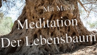 Der Lebensbaum  Meditation mit sanfter Musik 06 [upl. by Katey772]