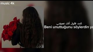 الاغنيه التركيه مترجمه Basit Numaralra  Zerrin Özer [upl. by Elleiad227]