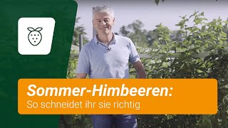 SommerHimbeeren schneiden So gehts [upl. by Bay]