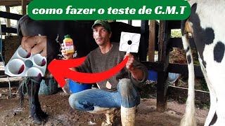 Como fazer o teste de CMT  para diagnosticar a mastite subclínica em vacas em lactação [upl. by Esenaj]