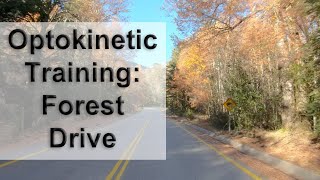 Optokinetic Training  Forest Drive Including Switchbacks [upl. by Llenrap]