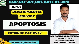 Apoptosis Extrinsic Pathway  Developmental biology  L26  Genesis institute of life science [upl. by Tibold346]