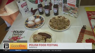 32nd Annual Polish Festival this weekend in Roseville [upl. by Gusty511]