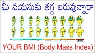 Your BMI Calculator Body Mass Index [upl. by Jonah685]