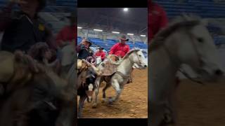 Odessa college rodeo 960 of TNT ✝️ rodeo saddlebronc [upl. by Mcclain38]