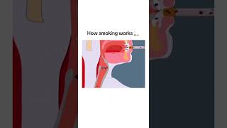 Smoking effect [upl. by Breban]