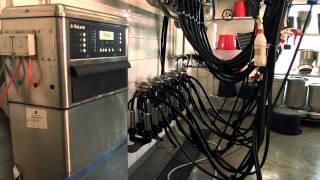 DeLaval Milking Machine Cleaning Unit [upl. by Lehcar918]