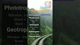 movement in plants shorts youtubeshorts shortvideo shortsfeed [upl. by Hsemar920]