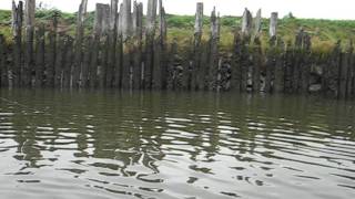 King Chinook Salmon Fishing at Samish River [upl. by Schaab]