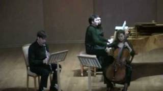 J Brahms Trio for clarinet cello and piano 1 movement [upl. by Picardi]