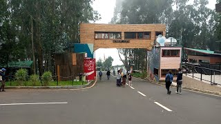 እንጦጦ ፓርክ አዲስ አበባ ኢትዮጵያ 🇪🇹 201624 Entoto Park Addis Abab Ethiopia ሸራተን Sheraton piass 4ኪሎ Finfin ebs [upl. by Alvord433]