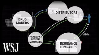 How Drug Prices Work  WSJ [upl. by Aciretahs586]