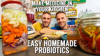 HOW TO MAKE PROBIOTICS AT HOME  EASY RECIPE 2022 [upl. by Inness]