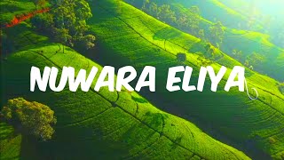 Nuwara Eliya 4k Video  Nuwara Eliya Sri lanka  Nuwara Eliya Travel Places English Songs [upl. by Cornall]