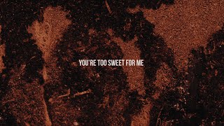 Hozier  Too Sweet Official Lyric Video [upl. by Khalsa]