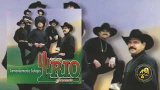 Conjunto Rio Grande Monton De Cartas CD Completo [upl. by Eissert]