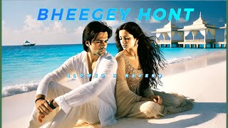 Bheegey Hont  Slowed Reverb  Emraan Hashmi [upl. by Aciretahs88]