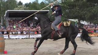 Working Equitation World Championship Speed Trail Winner 2018 [upl. by Syah480]