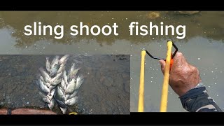 episode 134 sling shoot katabas tv fishing [upl. by Copeland]