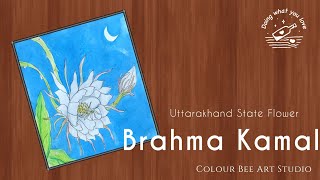 Brahma Kamal Flower Drawing  State Flower of Uttarakhand  Nisagandhi Flower  Saussurea obvallata [upl. by Brazee]