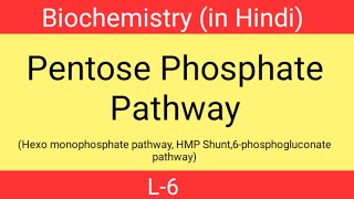 Pentose phosphate pathway in hindi  L6  Hexo monophosphate pathway  Biochemistry 2nd sem  HMP [upl. by Allare805]