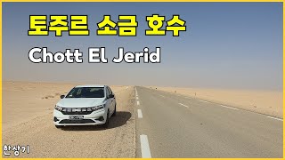 튀니지 4부모닝 고양이 amp 조식 토주르 소금 호수 쇼트 엘 제리드 드론 샷Driving TozeurChott El JeridZafaran  20231103 [upl. by Siramay95]