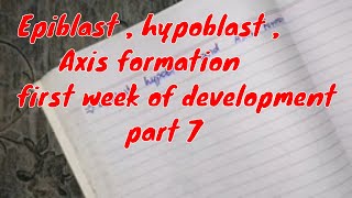 Epiblast Hypoblast Axis formation first week of development part 7 embryology [upl. by Libbey671]